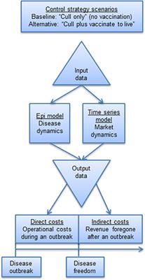 Framework for Estimating Indirect Costs in Animal Health Using Time Series Analysis